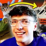 turning incredibly strange tiktoks into graphic design