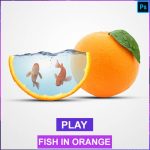 Orange Fish Manipulation – Photoshop Tutorial