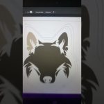 Indian graphic designer