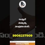 #branding #digitalbranding #digitalmarketing #socialmediamarketing #graphicdesign #advertising