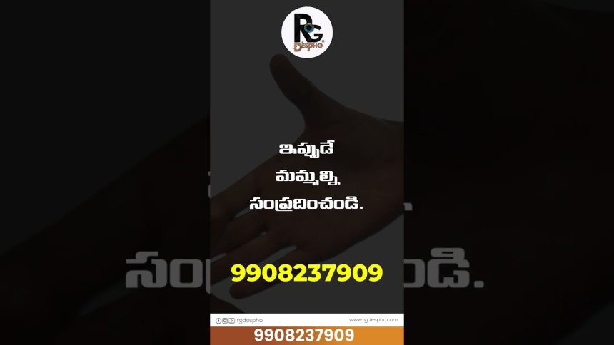 #branding #digitalbranding #digitalmarketing #socialmediamarketing #graphicdesign #advertising