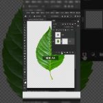 How to set image in leaf #graphicdesign #photoshop