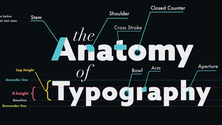 The Anatomy of Typography for Graphic Designers